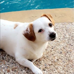 Meet your Posher, Gina